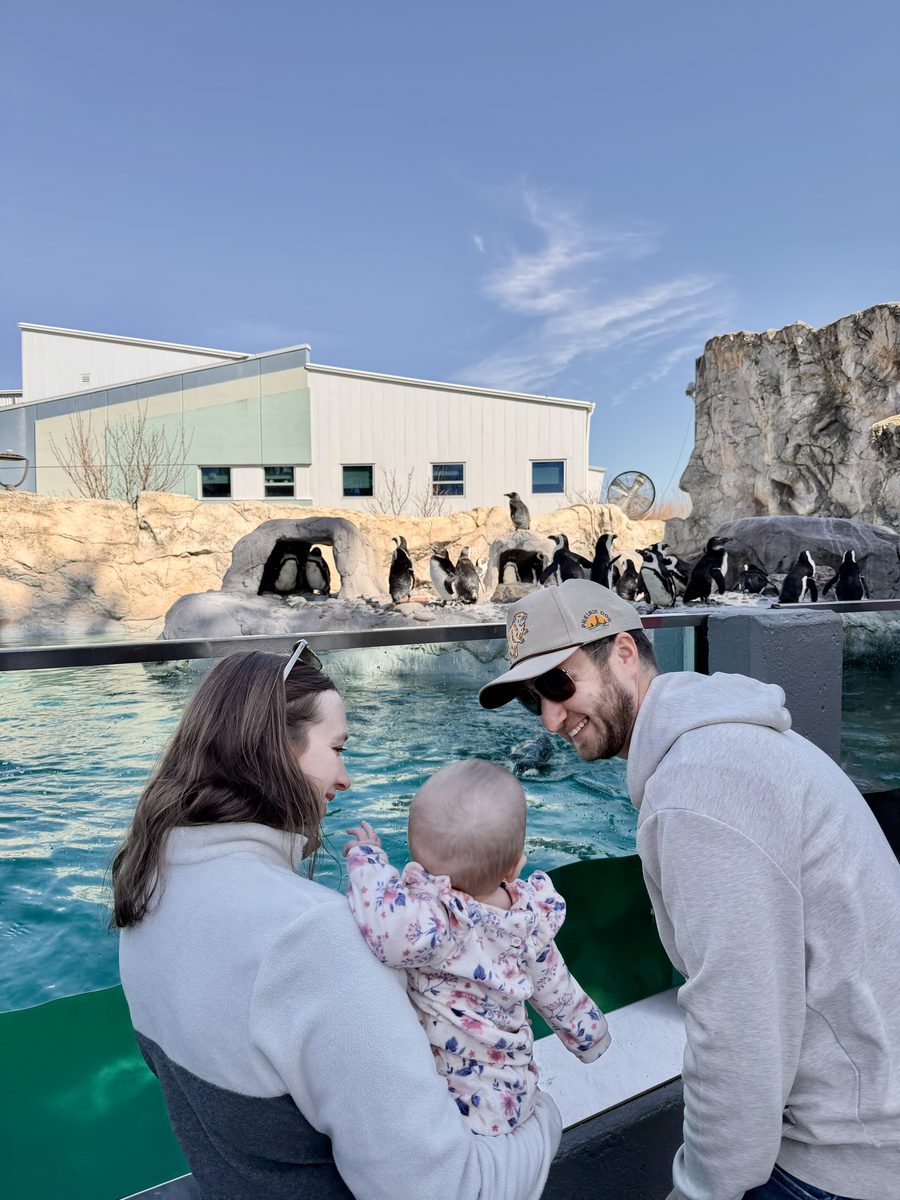 Dan, Tara, and Charlotte at the penguin exhibit
